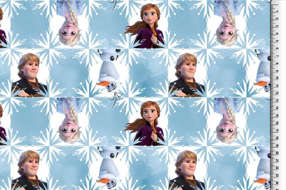 Jersey Stoff Eiskönigin, Anna und Elsa