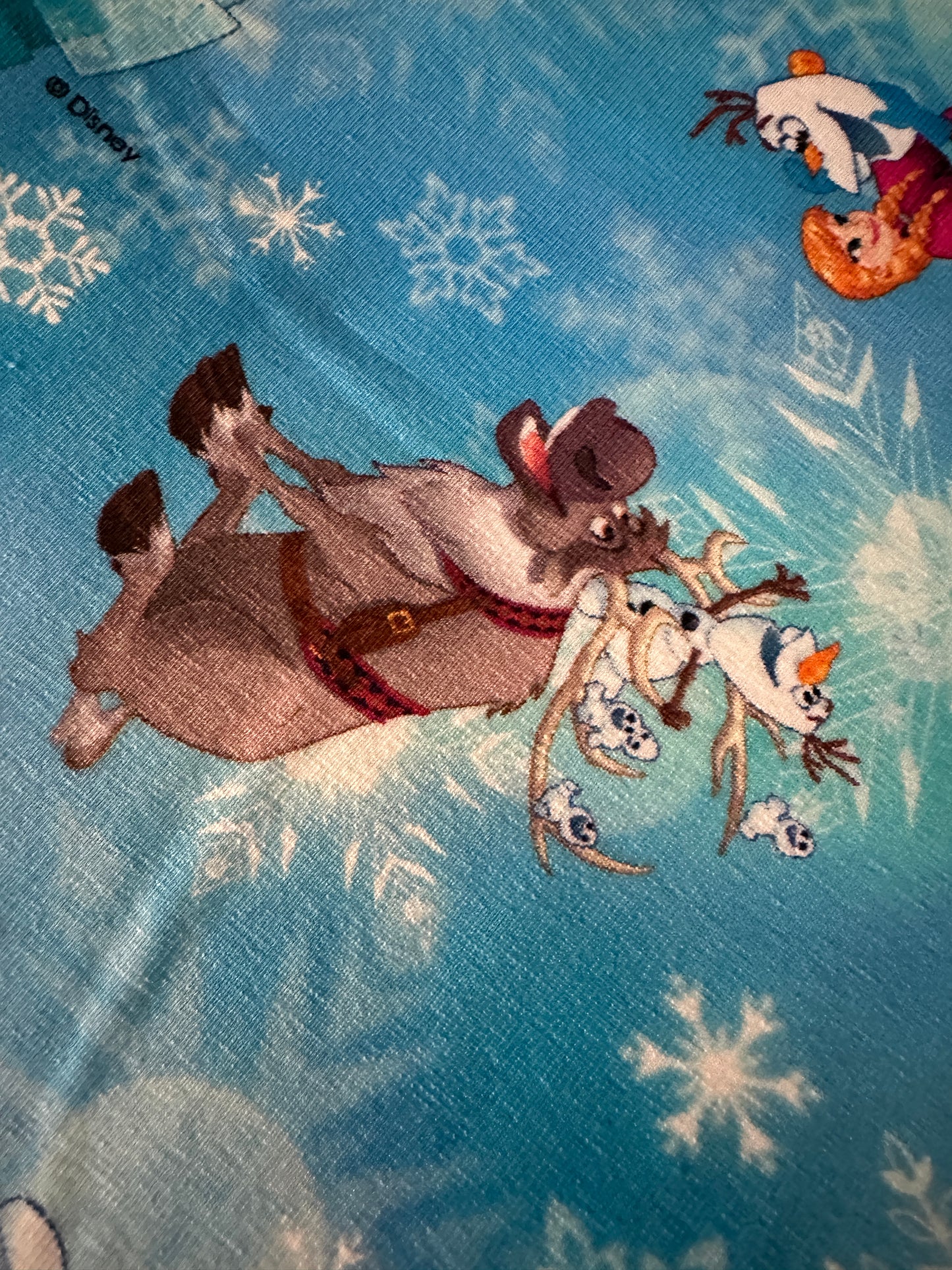 Jersey Stoff Eiskönigin, Anna und Elsa