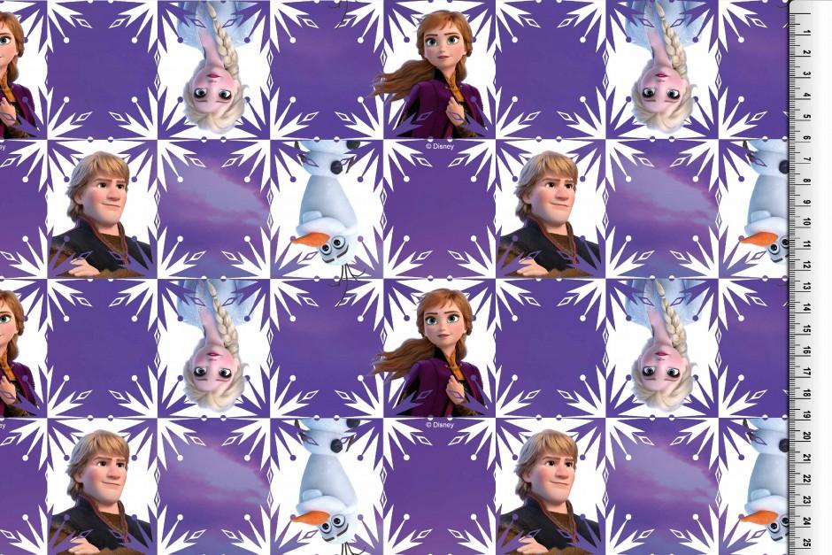 Jersey Stoff Eiskönigin, Anna und Elsa