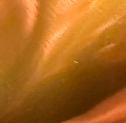 Chemica Hotmark Metallic