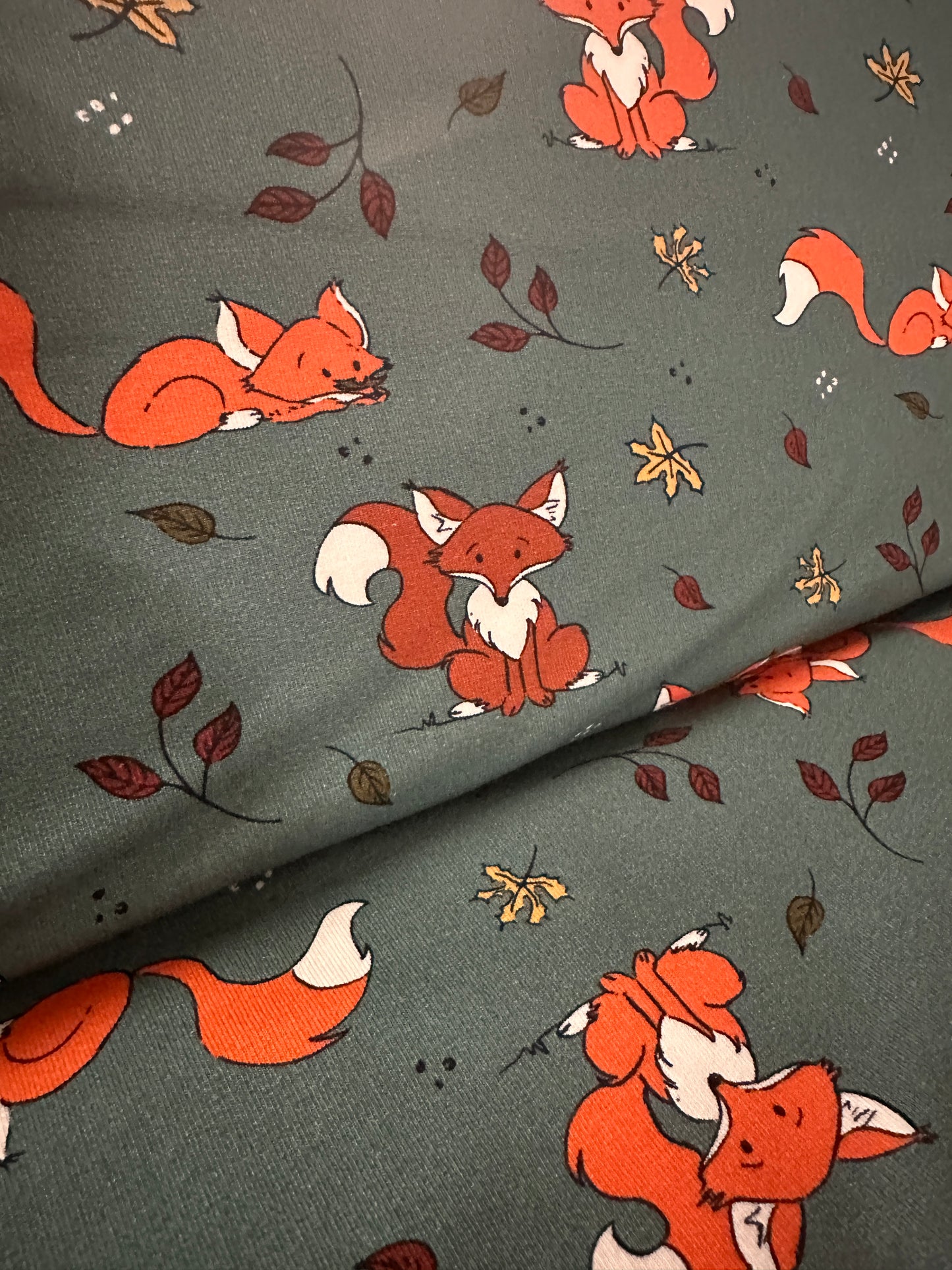 Jersey Herbst Fuchs dick