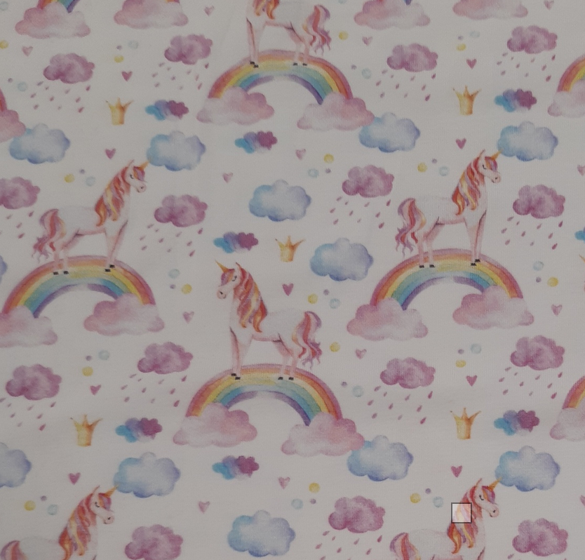 Jersey Einhorn in den Wolken